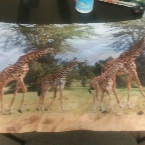 2 full size pillow shams - Picture 1 of 1